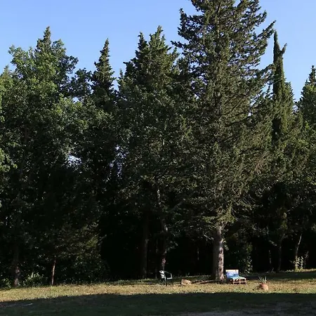 Albertina Bed & Breakfast